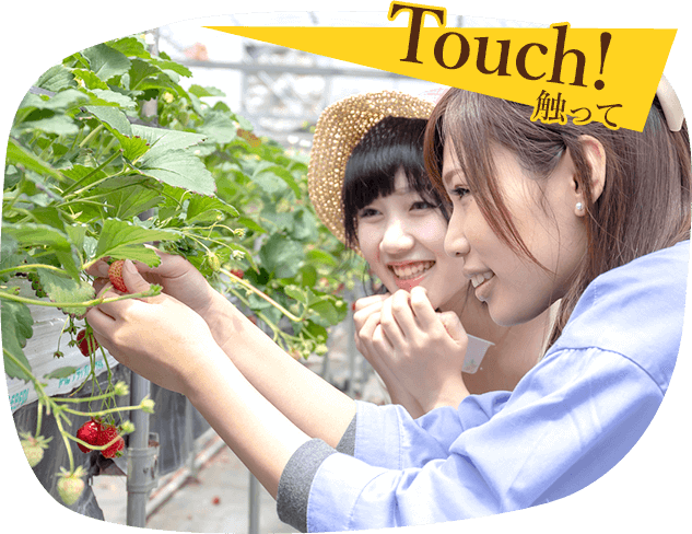 Touch!触って